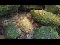Exploring deep forest in Suzuka Quasi-National Park, Japan.【4K】