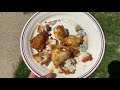 How To Fish Fry