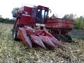 IH 303 combine near fredricksburg iowa