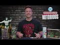 Enter the Gallery of Rogues! | DC HeroClix: Notorious Unboxing with Scott Porter | Day 1