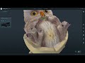 This is Changing 3D Scanning | CR Scan Otter