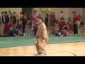 Grand Master Chen Zheng Lei Demostrates Chen Style Tai Chi 陈正雷大师表演