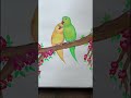 HOW TO DRAW COUPLE PARROT 🦜 | WATER COLOUR | EASY TUTORIALS