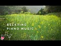 Relaxing Piano Sleep Music | for Insomnia, Meditation, Healing, Rest, Study, SPA (2 hours)