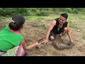 Primitive Life: Sleeping Meet Giant Anaconda Python Underground Crack - Skills Catch Big Python