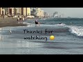 Egret encounters serious drama on Florida beach…