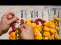 Growing Yellow Habanero Peppers from Seed - Step by Step