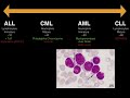 Leukemia || USMLE