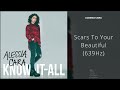 Alessia Cara - Scars To Your Beautiful (639Hz)