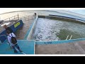 Watching Shoalstone sea pool refill on high tide amazing to watch stunning Brixham for Edna 06/07/23