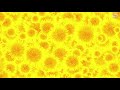 Guided Meditation: Activating the Solar Plexus