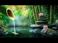 Relaxing Zen Music - Bamboo, Relaxing Music, Meditation Music, Peaceful Music, Nature Sounds