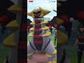 《Pokemon GO》佔領道館後對戰伊菲爾塔爾！イベルタル Yveltal！超級聯盟GO Battle Great League！