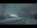 Winter Serenity | Snowstorm Sounds for Deep Sleep and Stress Relief | Calm in the Blizzard