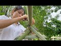 Building a New Life Together in the Wilderness TIMELAPSE - A Boy and a Girl's Journey