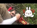 Felling and Bucking a Dead Oak