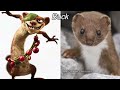 Ice Age Characters In Real Life