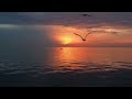 Relaxing Ocean Sounds- Beautiful Sunset with Seagulls for relax, calm, stress relief, & sleep
