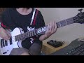 This Love - Maroon 5 | Bass Cover