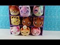 Aphmau MeeMeows Plush Litter 3 Blind Box Opening Review | PSToyReviews