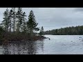 Exploring Nova Scotia on my kayak | Wilderness #novascotia #nature #explore #capebreton #kayak