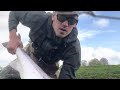 Big spring salmon on fly - Coupar grange fishings.