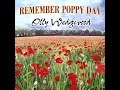Remember Poppy Day