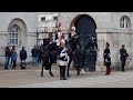 Huge Respect, This is Why I Love Blues And Royals (Full Video)