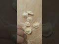 ORECCHIETTE PUGLIESI... how do you make them?