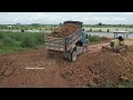 Great action dozer and tuck working pushing unloading dirt making road - dozer pushing dirt with tru