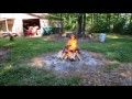 Easy Way to Remove Tree Stumps - Part 2