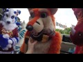 Confuzzled 2016 - Carnival of the Night!