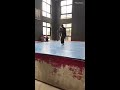 Chen Ziqiang Demo Chenjiagou