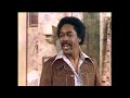 Compilation | Fred & Lamont Can't Catch A Break | Sanford and Son