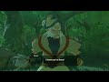 This is Unreasonable... | (BotW Stream Playthrough Highlights 2)