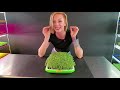 How to Grow Microgreens Using Sprouting Trays | Step-By-Step Tutorial | Soilless Growing