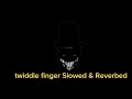 TwiddleFinger (SLOWED & REVERBED)