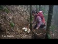 Single mother digs bamboo shoots to sell at the market, the life of mother and daughter