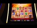 5 MUST SEE JACKPOTS - 1 Night - Buffalo Gold Slot Machines