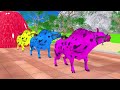 Paint & Animals Duck,Gorilla,Lion,Elephant,Cow,Sheep Fountain Crossing Transformation Animal Cartoon