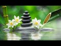 Relaxing Sleep Music + Insomnia: Serenity in Sound, Stress Relief, Sleep & Inner Calm