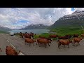 Scenic Drive in the Stunning Alps 🇫🇷 | 🇮🇹 Col and Lake du Mont Cenis [Insta 360 4x 8k]