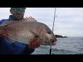 SHIMANO 2022 JDM Softbaiting at the Mokohinau Islands