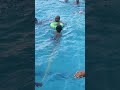 swimming