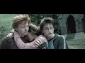 amistad y valentia- harry potter (golden trio)