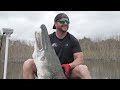 Bowfishing for Giant Gator Gar| We shoot a 7+ foot  RIVER MONSTER!!!