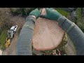 Love A Speed line Job - UK Arborist Tree Removal