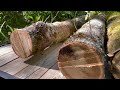 Unusually Tall Black Oak Gets Cut For Woodmizer LT15 Sawmill