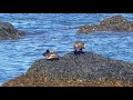 Cape Elizabeth, Maine - Portland Bay area