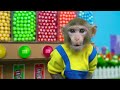 Monkey Nana challenges with taking care of cute Duckling | Monkey Nana